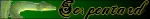 Directeur-Directeur des Serpentard