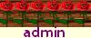 admin
