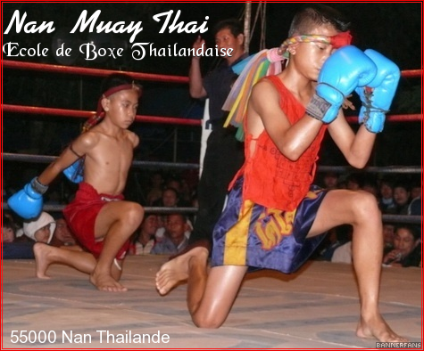 Nan Muay Thai Forum Index