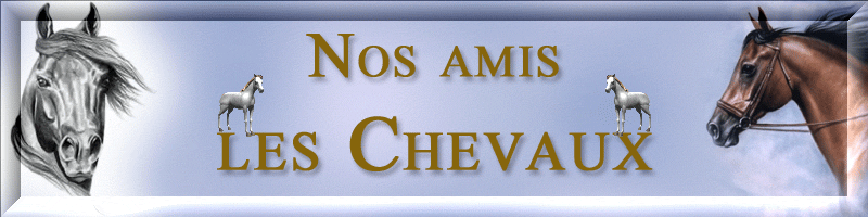Vive les chevaux!!!
