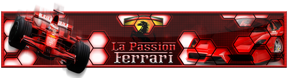  Forum Index