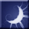 No new posts [ Popular ]