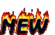 New posts