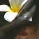 No new posts