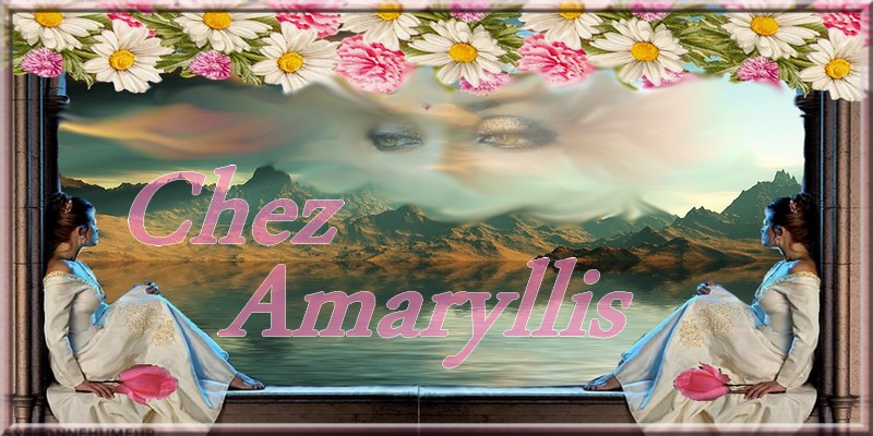 chez amaryllis21 Forum Index