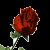 New posts