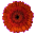 New posts