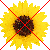 This forum is locked: you cannot post, reply to, or edit topics.