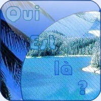 Who is Online