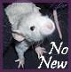No new posts No new posts