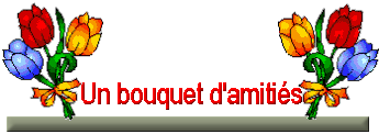 Algermiliana Forum Index