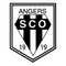 http://img3.xooimage.com/files/4/5/d/angers_3-4ca0b8.jpg
