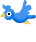 oiseau accro au forum