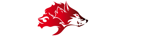 LOU Roller Hockey
