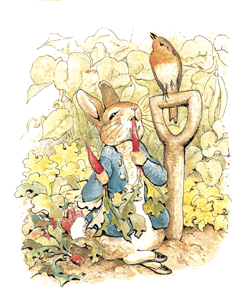 Les petits jardins Forum Index