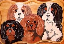Cavaliersmania Index du Forum