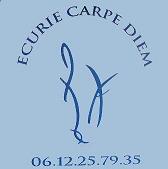 Les ecuries carpe diem Forum Index