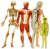 http://img3.xooimage.com/files/5/e/0/sans-titre-655cb6-914b87.png