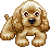 狗 Chien