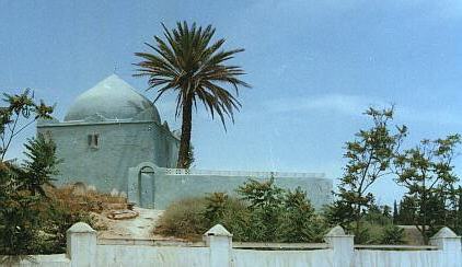 maghnia