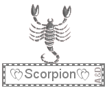 scorpion