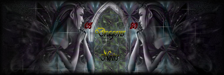 DRAGONS NOIRS Forum Index