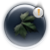 No new posts [ Popular ]