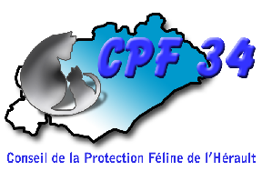 Protection f�line Index du Forum