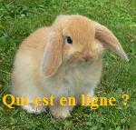 Who is Online