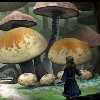 New posts