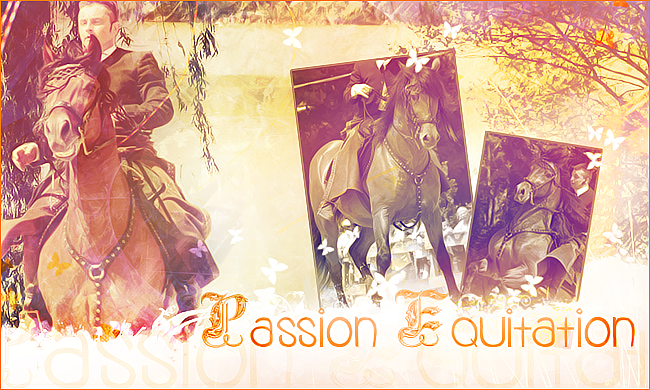 Passion Equitation Index du Forum