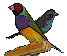 http://img3.xooimage.com/files/8/8/3/logotpsmall-14934fe.gif