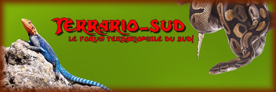 Terrario-sud Forum Index