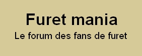 Forum furet : furet-mania Forum Index