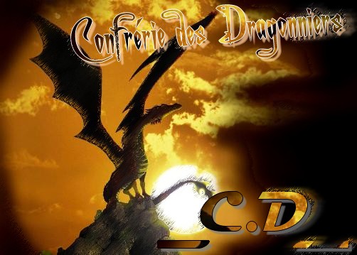 _C.D_ Forum Index