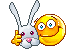 amis
