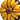 No new posts