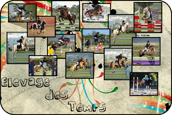 Elevage des Temps Forum Index