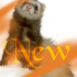 New posts