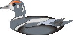 Forum is locked
