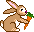 lapin3