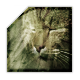 Ce forum est verrouillé, vous ne pouvez pas poster, ni répondre, ni éditer les sujets. Ce forum est verrouillé, vous ne pouvez pas poster, ni répondre, ni éditer les sujets.