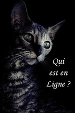 Who is Online