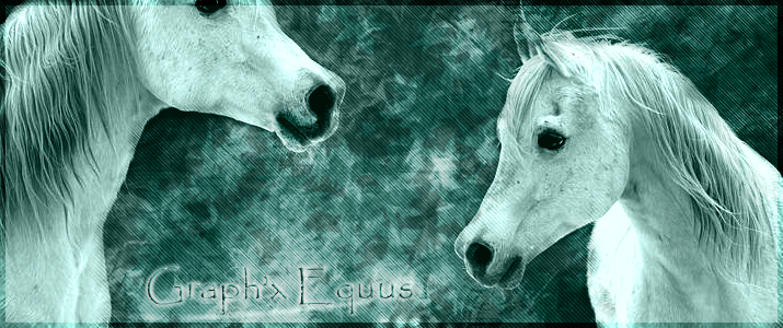 .[Graph'x Equus].
