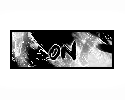 Connexion
