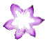 No new posts [ Popular ]