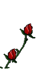 fdhdfi