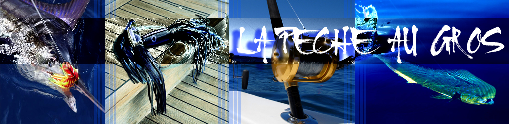 La pêche au gros Forum Index