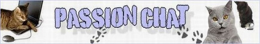 Chat, Tolérance et Humour... Forum Index