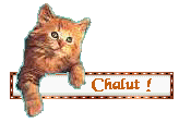 salut